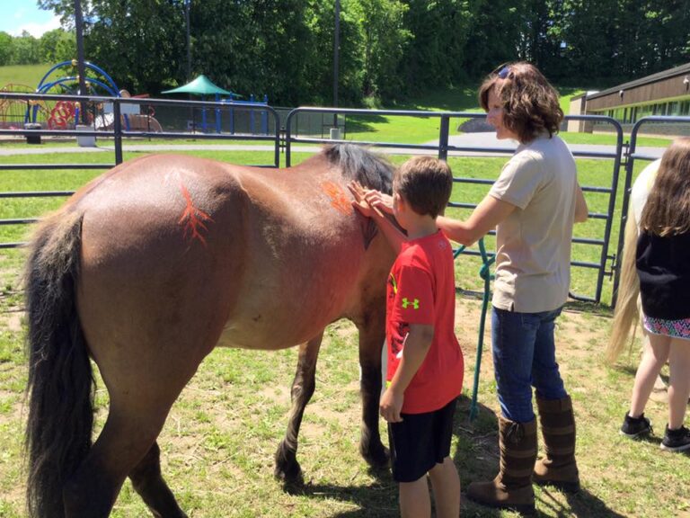 horse 5